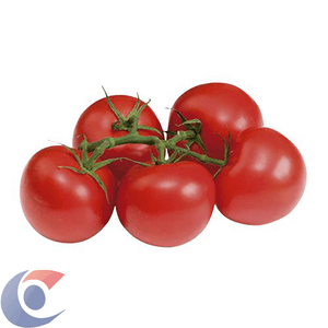 Tomate Holandes Unidade