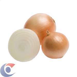 CEBOLA KG