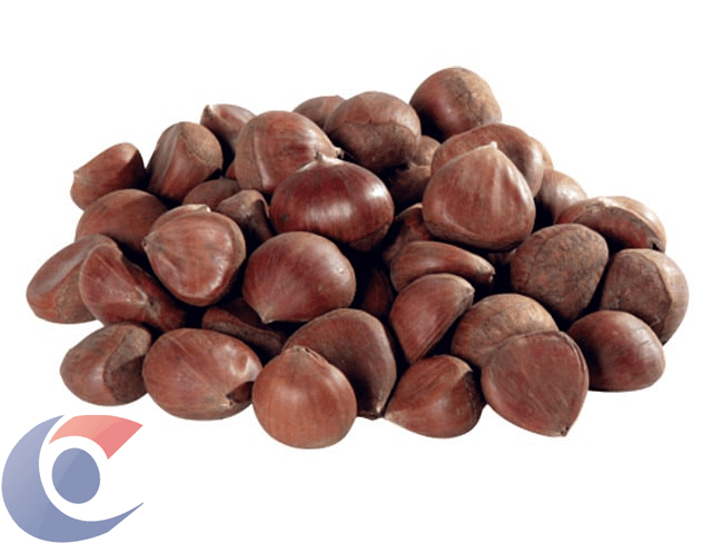 CASTANHA-PORTUGUESA-KG