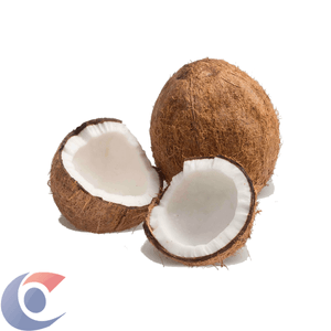 COCO SECO KG
