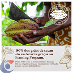 CHOC-SUICO-LINDT-EXCELL-100G-MILK-EXT-CR