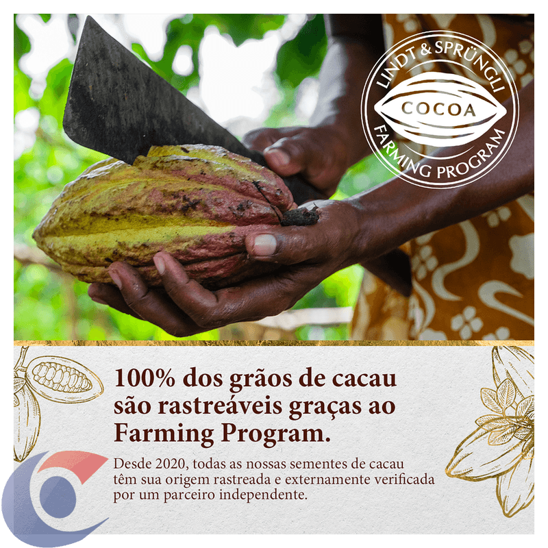 CHOC-SUICO-LINDT-EXCELL-100G-MILK-EXT-CR