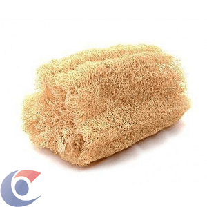 Bucha Vegetal Pedaço Utilinac Unidade