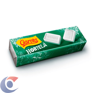 Pastilha Garoto Hortelã 17g