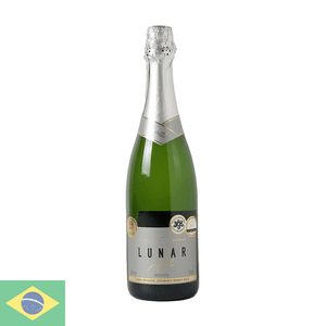 Vinho Nacional Branco Salton Lunar 750ml