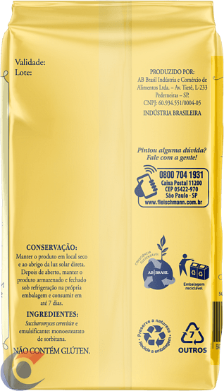 FERMENTO-FLEISCHMANN-L125P100G