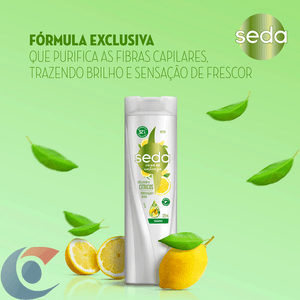 Shampoo Seda Recarga Natural Pureza Detox 325ml