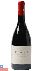 VH-TTO-CHI-APALTAG-COL-750ML-CARIGNAN