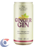 BEB-MIST-GIN-TON-EASY-BOOZ-269ML-GINGER