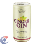 BEB-MIST-GIN-TON-EASY-BOOZ-269ML-GINGER