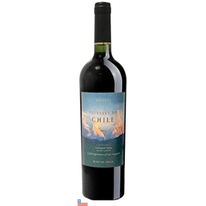 Vinho Chileno Tinto Paisajes Fam R Carménère 750ml
