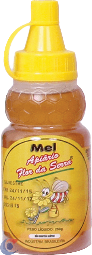 MEL-IN-NATURA-API-FLOR-DA-SERRA-250G