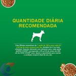 ALIM-CAES-DOG-CHOW-FILH-100G.FGO-MO-MOLHO
