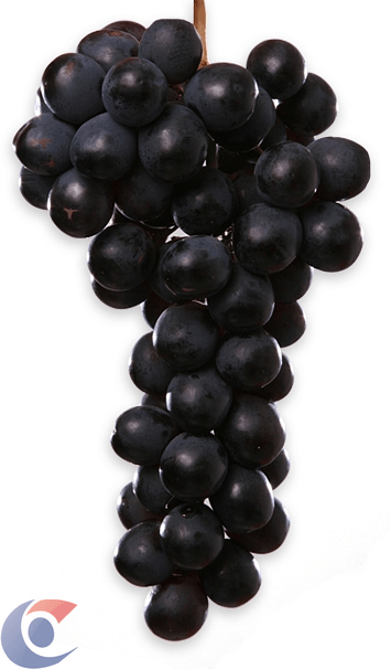 UVA-JUBILE-500G