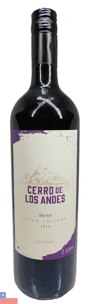 VH-TTO-CHI-CERRO-LOS-ANDES-1L-MLOT