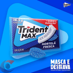 GOMA-MASC-TRIDENT-ZERO-165G-FRESH-HORT