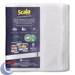 TOALHA-PAPEL-SCALA-REG-C-2-120UN