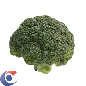Brócolis Hibrido Selecionado 250g