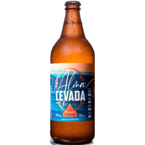 Cerveja Artesanal Bruder Alma Cevada 600ml