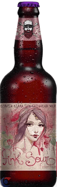 CERV-BARBA-RUIVA-PINK-SOUR-500ML-GF