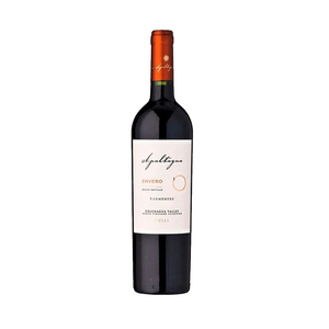 Vinho Tinto Chileno Apaltagua 750ml Gran Reserva Enveron B
