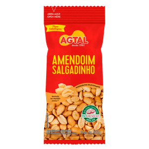 Amendoim Sem Casca Salgado Agtal 100gr