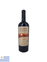 VH-TTO-URUG-COL-SUENOS-G-R-TANN-750ML
