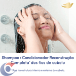 KIT-DOVE-SH400ML-COND200ML-REC-CO-PR-ESP