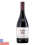 VH-TTO-CHI-CASILLERO-750ML-PNOIR
