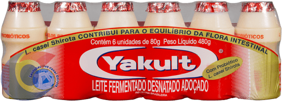 LEITE-FERM-YAKULT-6UN