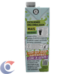 SUCO-INT-TIAL-1L-UVA-TP